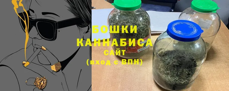 Бошки марихуана Amnesia  хочу наркоту  Оса 